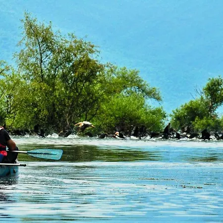 Hotel Oikoperiigitis