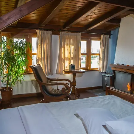 Oikoperiigitis Hotel