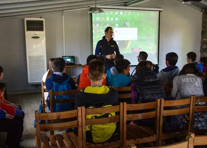 Hotel Oikoperiigitis