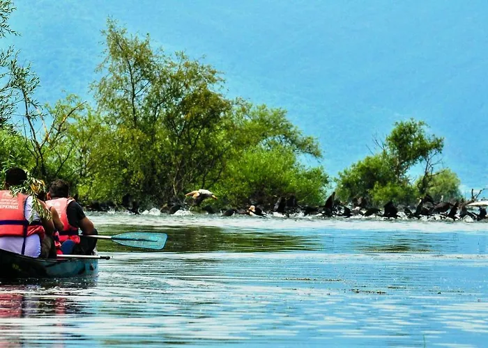 Hotel Oikoperiigitis