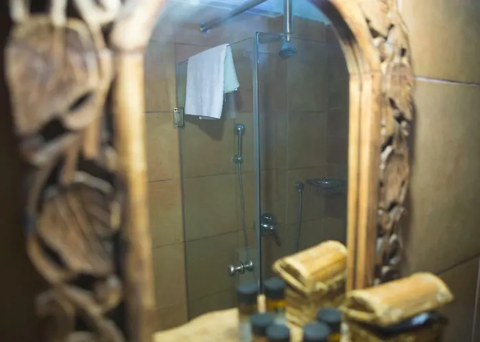 Oikoperiigitis Kerkini